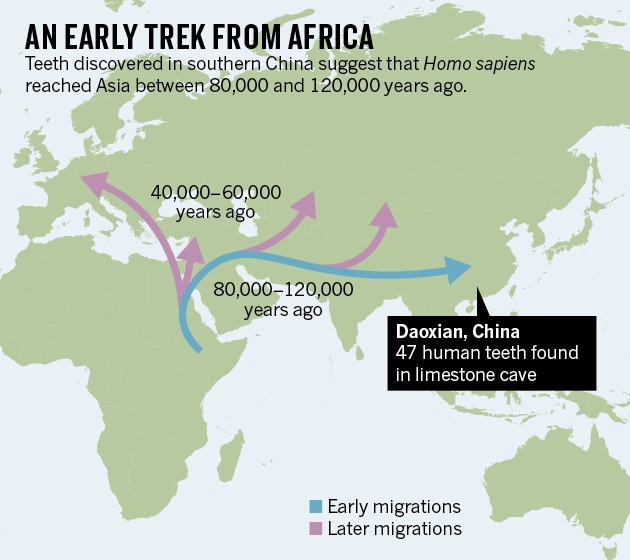 nature-china-teeth-map