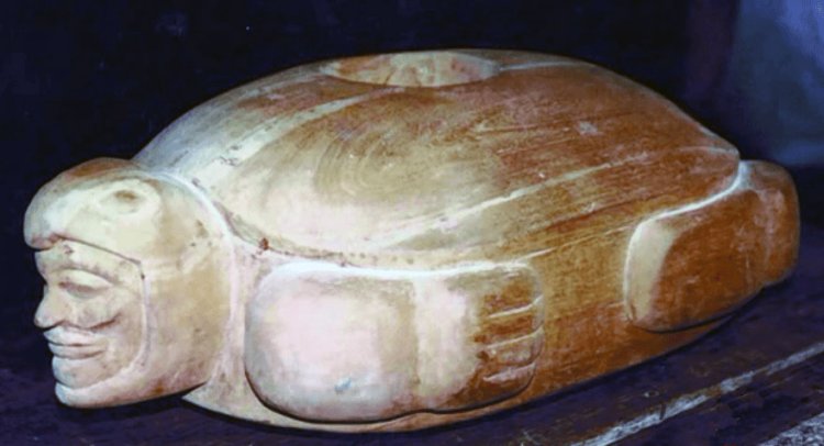 Myths And Legends Reveal Ancient Turtle Worship Linked To The Creation Of The World