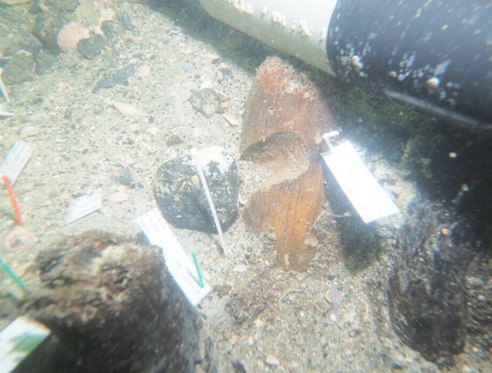 7,000YearOld Native American Underwater Burial Site Discovered Off