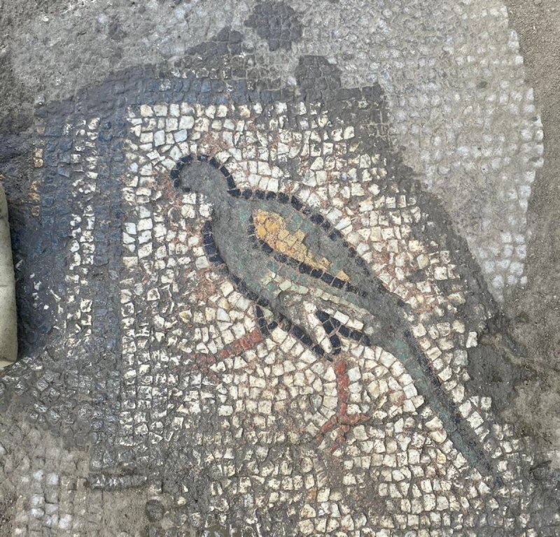 Mosaicos mais bonitos na antiga cidade de Hadrianópolis, no norte da Turquia
