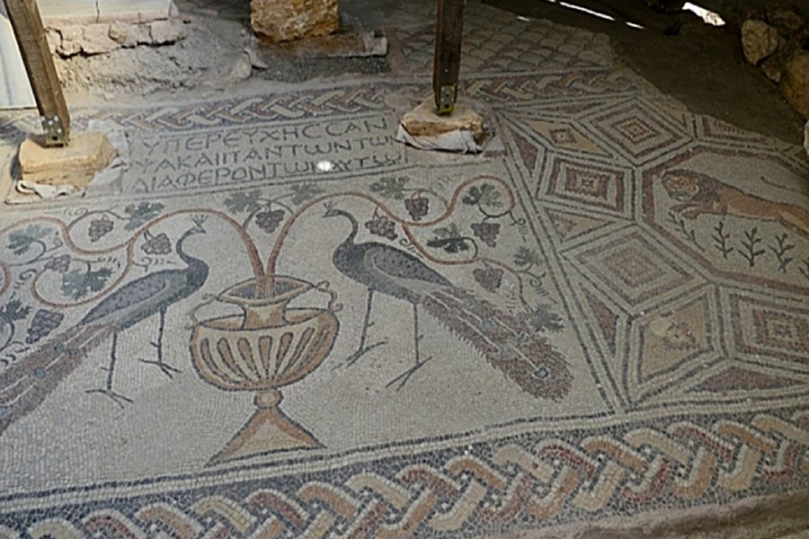 Mosaicos mais bonitos na antiga cidade de Hadrianópolis, no norte da Turquia