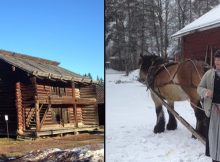 Preserve Elfdalian: Sweden's Secret Forest Language From The Viking Era