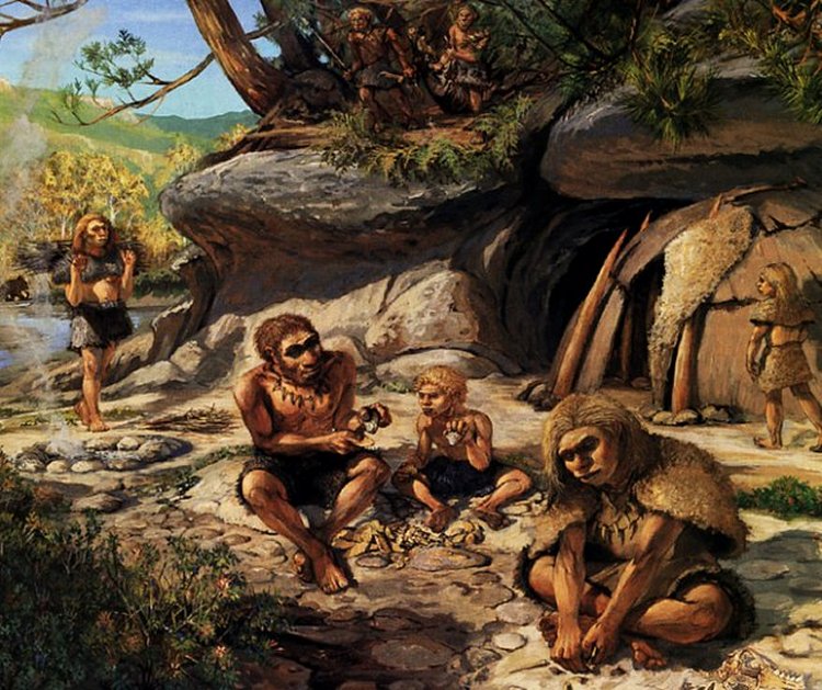 List 91+ Pictures How Did The Neanderthal Lifestyle Differ From That Of ...