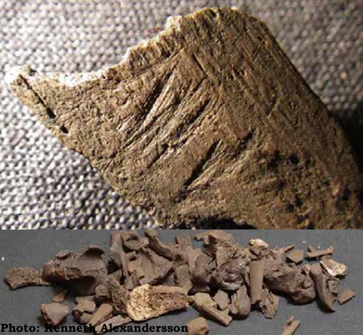 Blå Jungfrun caves contain diverse bone material.Phot: Kenneth Alexandersson