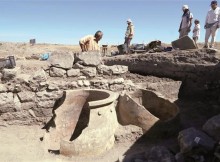 The amphoras had been used to keep grain and that they had taken samples to find out what exactly had been kept in the amphoras.