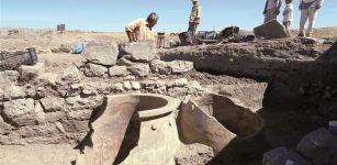 The amphoras had been used to keep grain and that they had taken samples to find out what exactly had been kept in the amphoras.