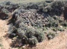 An independent archaeologist discovered what he believes are the two grave sites holding the remains of up to 100 Arkansas migrants murdered at Mountain Meadows in 1857. This photo depicts the grave holding the men and boys, which is located about 2,100 feet west of the LDS Church's monument that purports to commemorate the grave. Courtesy Everett Bassett.