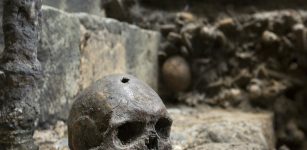 Some of the skulls found among the footings of Westminster Abbey’s south transept have square holes left by the pickaxes of 13th-century workman. Photograph: Dan Kitwood/Getty Images