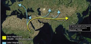 Our species, Homo sapiens, is thought to have appeared in Africa around 200,000 years ago. The details of its dispersal from there are still murky. The latest study suggests that our ancestors first spread east, via the Arabian Peninsula, and entered South Asia long before the 60,000 year mark (shown by the yellow arrow). Photo Credit: Daily Mail.