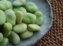 The large number of fava beans unearthed at the site of Ahihud, where seeds of a uniform size were found husked and placed in storage pits, suggests that they were the preferred crop as many as 10,000 years ago.