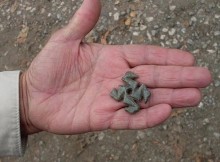 This 8,000-year-old frog-like swastika made of nephrite has been discovered during the latest archaeological excavations of the Slatina Neolithic Settlement in Bulgaria’s capital Sofia. Photo: Trud daily