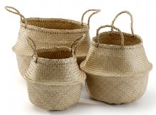 Teaching produced the most robust baskets but after six attempts all groups showed incremental improvements in the amount of rice their baskets could carry.