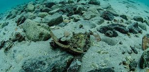 The wreck of a ship is believed to date back to either the 12th or 13th century, has been found off the coast of Salento. Photo: Area Marina Protetta Porto Cesareo