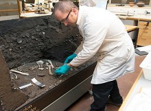 The remains of several other human bones were found in the cave at Viste where Viste Boy was discovered. These belonged to an adult human. Credits: University of Stavanger