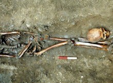One of the skeletons excavated by York Archaeological Trust at Driffield Terrace (credit: York Archaeological Trust)