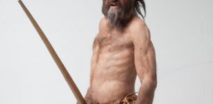 Researchers have now identified the presence of Helicobacter pylori in Ötzi's stomach contents, a bacterium found in half of all humans today.