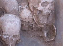 Skeletons were taken apart and the bones buried in different locations (photo: University of Copenhagen)