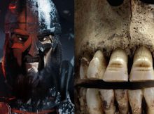 Vikings Filed Their Teeth For Unknown Reasons