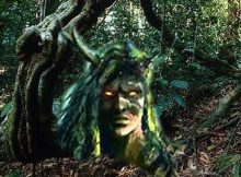 Forest In Ancient Beliefs: Powerful Realm Of Good And Evil, Ghosts, Gods And Monsters