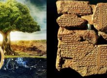 Was The Legendary Tree Of Life Located In The Grove Of Eridu?