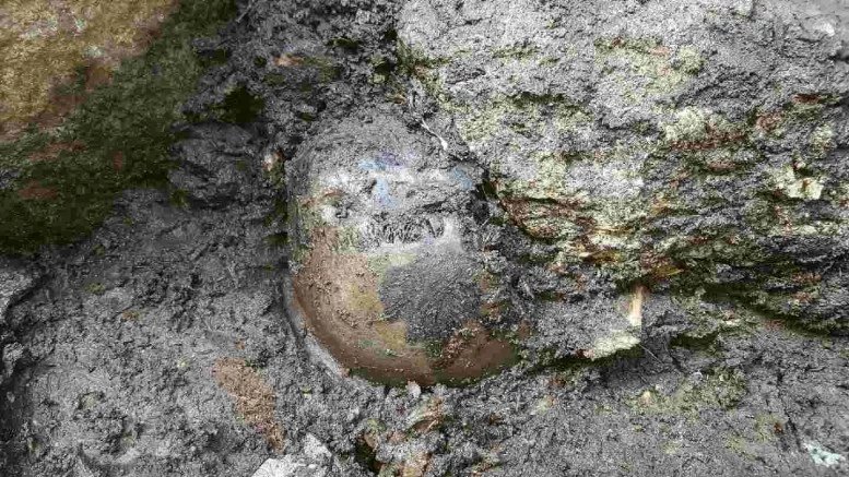 The skull from a birkebeiner. Photo: NIKU / NTB scanpix