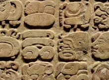 Maya glyphs at National Museum of Anthropology (Mexico)