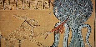 Malignant Serpent God Apophis: Symbol Of Chaos And Forces Of Darkness