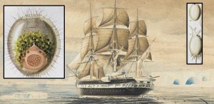 On This Day In History: HMS Challenger Begins Scientific Exploration Of Oceans - On Dec 21, 1872