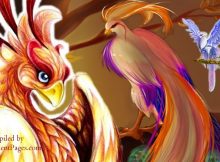 Mythical Beautiful Adarna Bird And Its Harmful Magical Power In Mythology Of Philippines