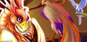 Mythical Beautiful Adarna Bird And Its Harmful Magical Power In Mythology Of Philippines