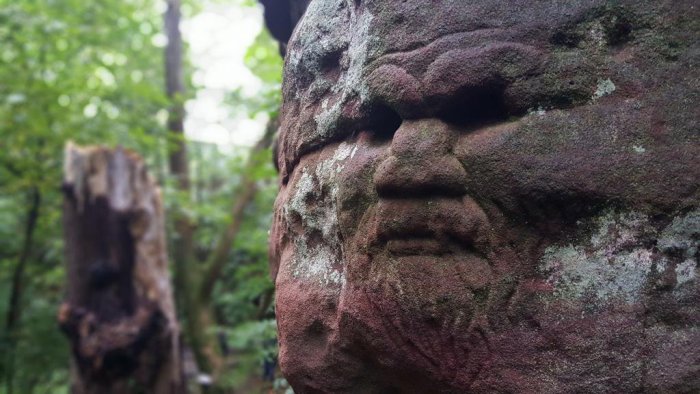 Is this the face of the green Man? Image credit: David C. Weinczok