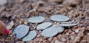 The excavated coin hoard (Photo: Yoli Shwartz, courtesy of the Israel Antiquities Authorit.y (IAA)