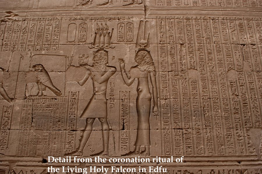 Detail from the coronation ritual of the Living Holy Falcon in Edfu