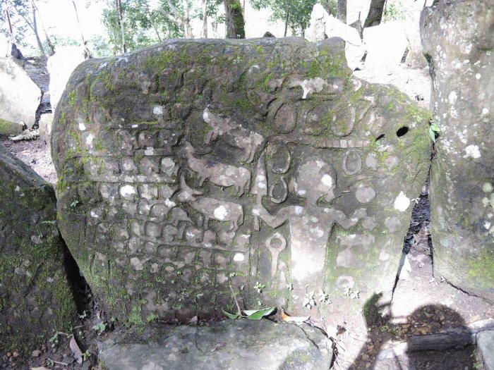 The stones are hidden in the forest. Image credit: Dr Malsawmliana, Assistant Professor, Govt. T Romana College, Aizawl
