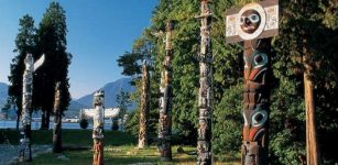 The Native Americans of the northwest coast have a very complex structure of kinship, which is demonstrated in a great variety of the carvings on totem poles. Image via www.slideshare.net