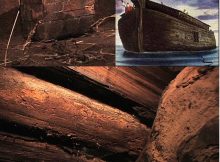 Ararat Mount - wooden remains