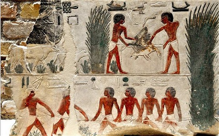 Egyptians Mastered Medicine Thousands Of Years Ago Ancient Pages