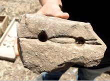 Evidence of producing fire in the region, in the form of ash and charcoal, already exists from the Old Stone Age – about 800,000 years ago; burnt seeds and flint chips were exposed at Gesher Bnot Ya'akov in the north of the country. Image: Israel Antiquities Authority