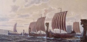 Viking Fleet