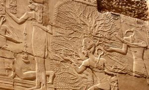 Ramses II, Tree of life, Karnak. Egyptian myths refer to the tree of life,  because the first Egyptian gods were born from beneath of this tree. |  Ancient Pages