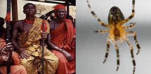 anansi spider