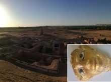 Five Ancient Roman Tombs With Different Architectural Style Discovered In Egypt