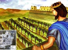 Biblical Vineyard Of Naboth Existed And Has Been Found