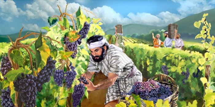 Biblical Vineyard Of Naboth Existed And Has Been Found Ancient Pages