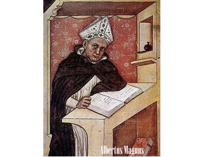 Albertus Magnus