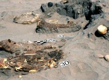 The Atacama mummies wrapped in burial shrouds and mats. One of the dead has a bow. Photo: Archives of the Tambo Project of the University of Wrocław.