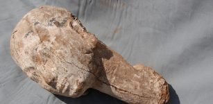 Ancient Wooden Sculpture Of Queen Ankhesenpepi II Discovered At Saqqara, Egypt