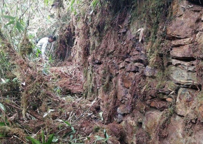 Mysterious Inca Citadel With Platforms, Passages And Walls Discovered In Peru’s Rainforest