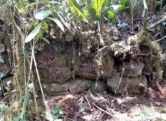 Mysterious Inca Citadel With Platforms, Passages And Walls Discovered In Peru’s Rainforest