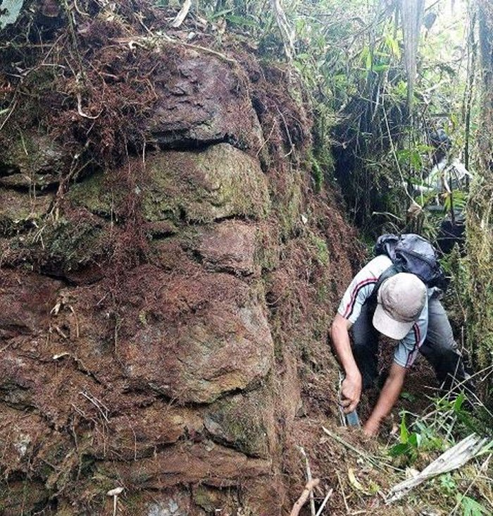 Mysterious Inca Citadel With Platforms, Passages And Walls Discovered In Peru’s Rainforest